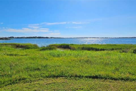 Land in Frostproof, Florida № 2233763 - photo 3