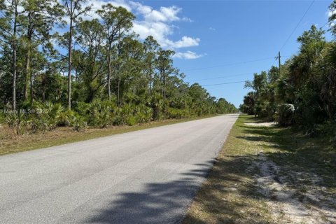 Land in Port Charlotte, Florida № 1934772 - photo 2