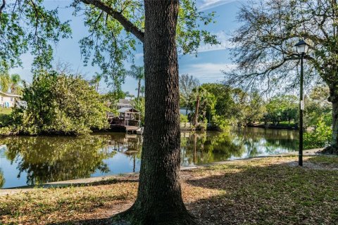 Condominio en alquiler en Tampa, Florida, 1 dormitorio, 70.61 m2 № 1858249 - foto 3
