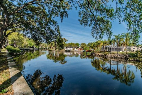 Copropriété à louer à Tampa, Floride: 1 chambre, 70.61 m2 № 1858249 - photo 1