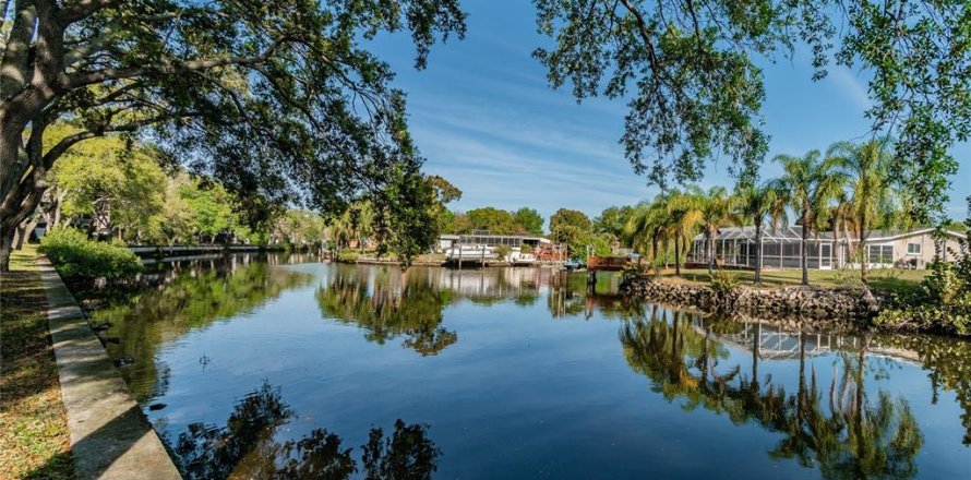 Condo à Tampa, Floride, 1 chambre № 1858249