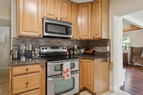 Villa ou maison à vendre à Tampa, Floride: 6 chambres, 310.67 m2 № 1690068 - photo 10