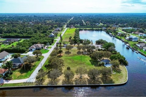 Land in Port Charlotte, Florida № 2228689 - photo 14