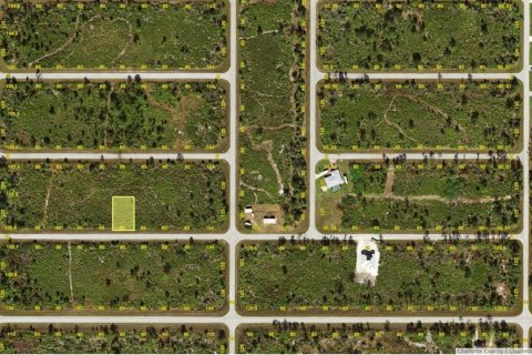 Land in Port Charlotte, Florida № 2228689 - photo 2