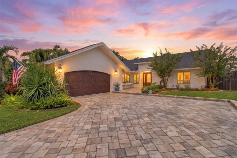 House in Tampa, Florida 4 bedrooms, 201.51 sq.m. № 2393709