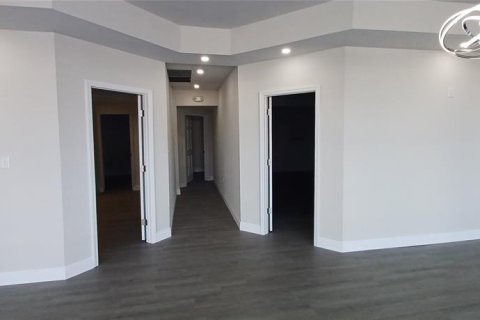 Propiedad comercial en alquiler en Zephyrhills, Florida, 368.26 m2 № 1795545 - foto 4