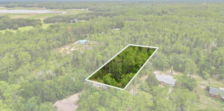 Terrain à Dunnellon, Floride № 2196735
