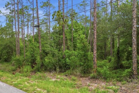 Terrain à vendre à Dunnellon, Floride № 2196735 - photo 3