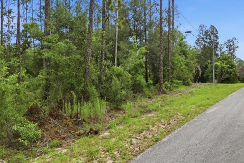 Terrain à vendre à Dunnellon, Floride № 2196735 - photo 2
