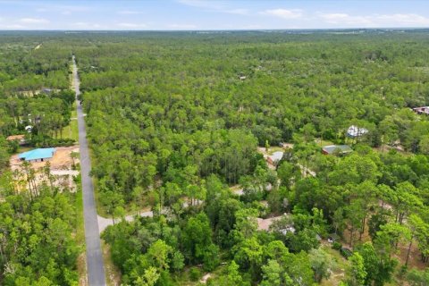 Terrain à vendre à Dunnellon, Floride № 2196735 - photo 4