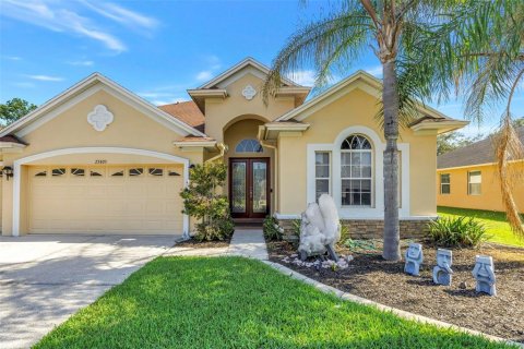 Villa ou maison à Wesley Chapel, Floride 4 chambres, 312.43 m2 № 2207610