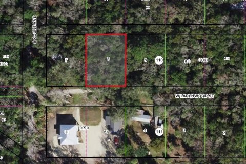 Terrain à Homosassa, Floride № 2162342