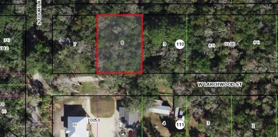 Terrain à Homosassa, Floride № 2162342