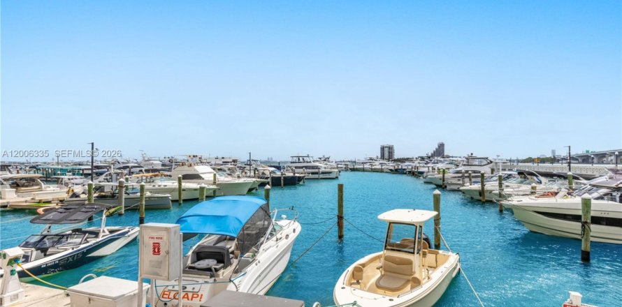 Studio in the Condo in Miami, Florida  № 2072487