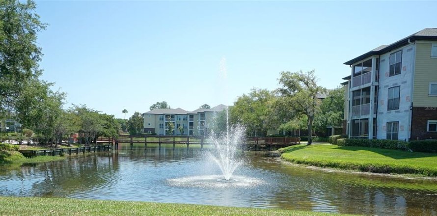 Condo à Tampa, Floride, 2 chambres  № 2096000