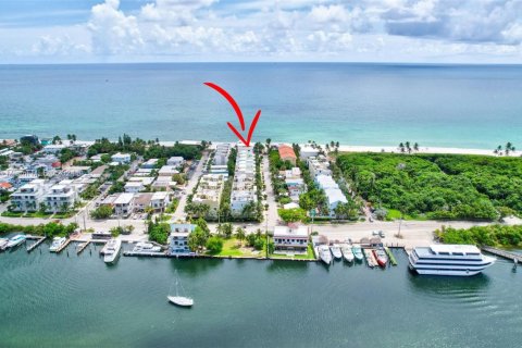 Casa en alquiler en Hollywood, Florida, 3 dormitorios, 342.44 m2 № 2057726 - foto 5