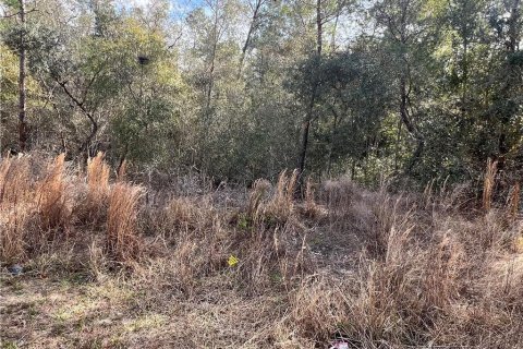 Land in Inverness, Florida № 2162921 - photo 5