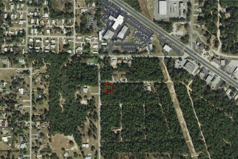 Land in Inverness, Florida № 2162921 - photo 4