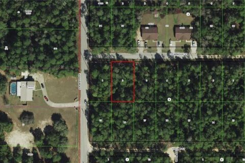 Land in Inverness, Florida № 2162921 - photo 3