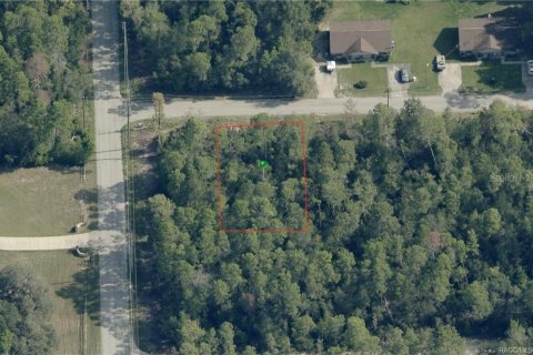 Land in Inverness, Florida № 2162921