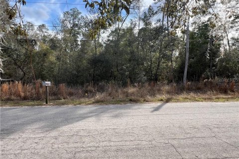 Land in Inverness, Florida № 2162921 - photo 7