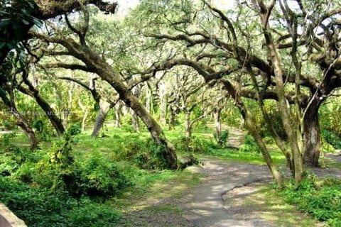House in Davie, Florida 2 bedrooms, 121.7 sq.m. № 1731742 - photo 27