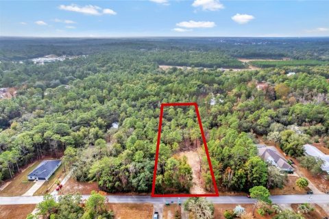 Land in Hernando, Florida № 2163702