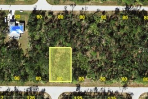 Land in Port Charlotte, Florida № 2165614 - photo 3