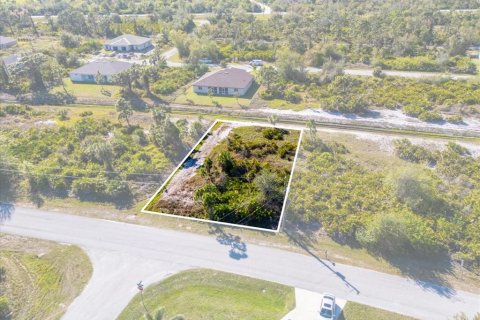 Land in Port Charlotte, Florida № 2160781 - photo 6
