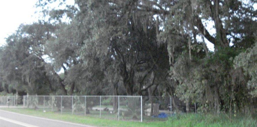 Terreno en Frostproof, Florida № 214428