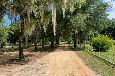 Land in Leesburg, Florida № 1256173 - photo 2