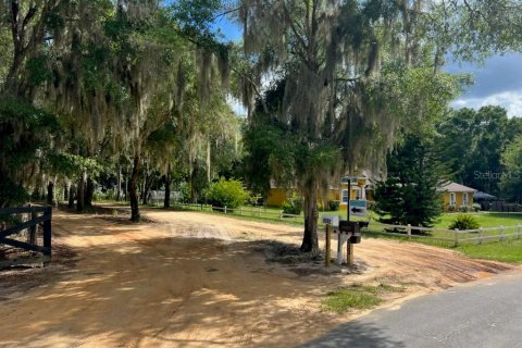 Land in Leesburg, Florida № 1256173 - photo 5