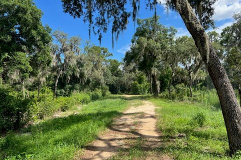 Land in Leesburg, Florida № 1256173 - photo 3