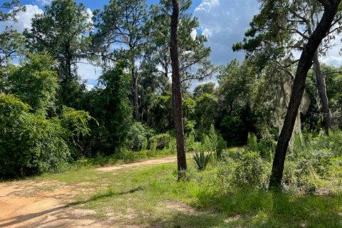 Land in Leesburg, Florida № 1256173 - photo 9
