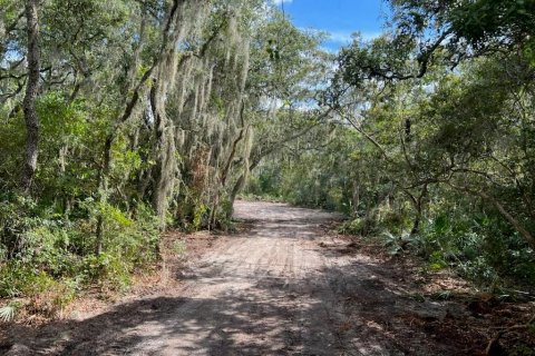Land in Leesburg, Florida № 1256173 - photo 13