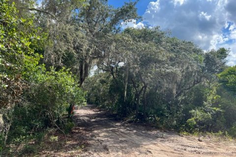 Land in Leesburg, Florida № 1256173 - photo 11