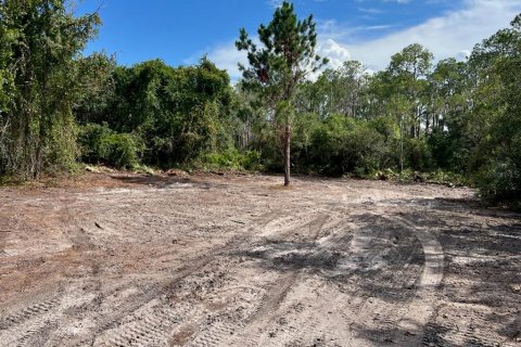 Land in Leesburg, Florida № 1256173 - photo 14