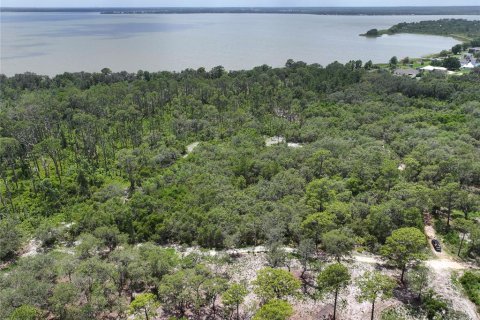 Land in Leesburg, Florida № 1256173 - photo 4