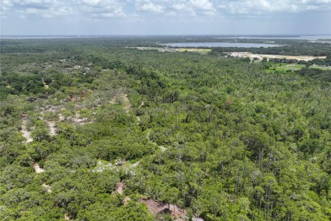 Land in Leesburg, Florida № 1256173 - photo 7