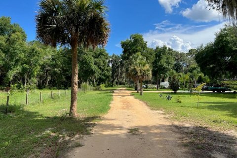 Land in Leesburg, Florida № 1256173 - photo 1