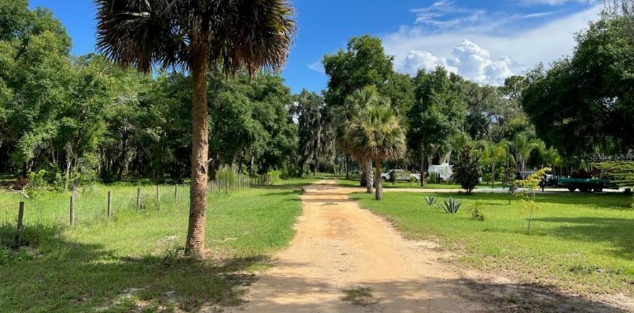 Land in Leesburg, Florida № 1256173
