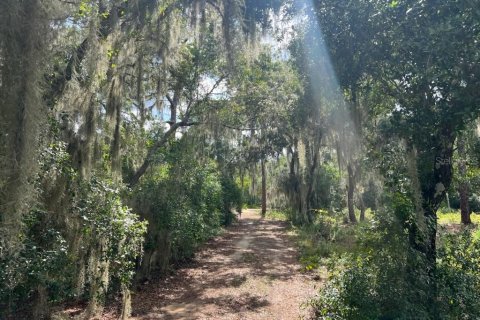 Land in Leesburg, Florida № 1256173 - photo 10