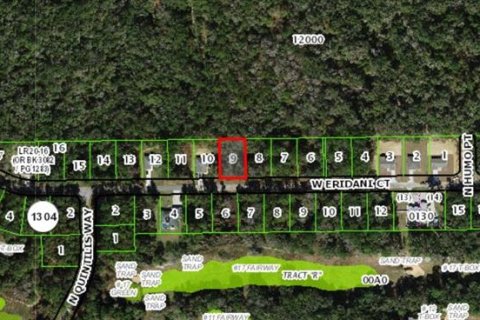 Land in Citrus Springs, Florida № 2160131 - photo 5