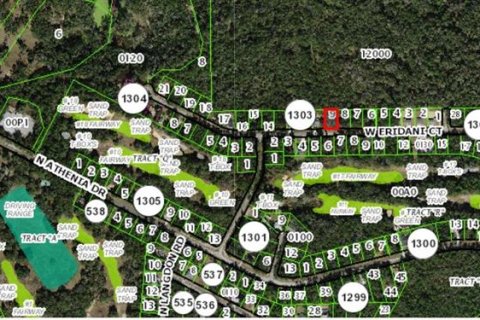 Land in Citrus Springs, Florida № 2160131 - photo 4