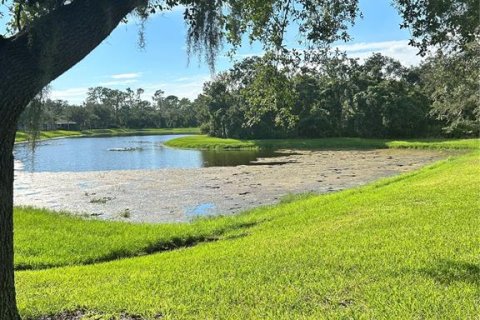 Casa en venta en Fish Hawk, Florida, 3 dormitorios, 169.83 m2 № 1901581 - foto 2