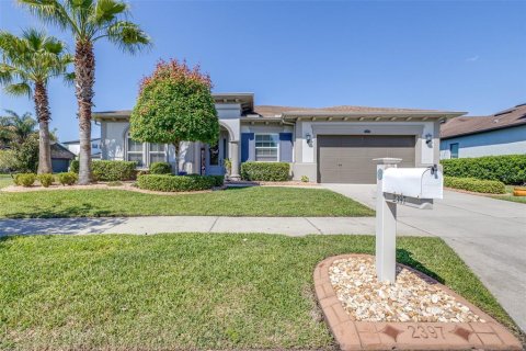 Villa ou maison à vendre à Wesley Chapel, Floride: 4 chambres, 270.35 m2 № 2152403 - photo 3
