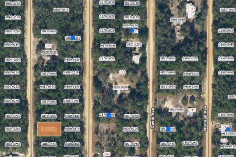 Land in Interlachen, Florida № 2161877