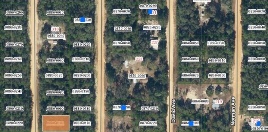 Land in Interlachen, Florida № 2161877