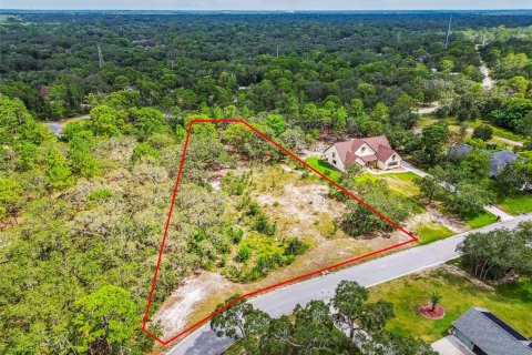 Terreno en venta en Hudson, Florida № 1873574 - foto 2