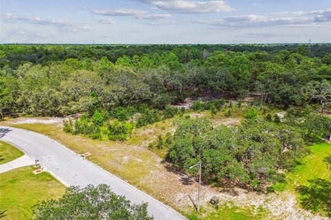 Terreno en venta en Hudson, Florida № 1873574 - foto 4